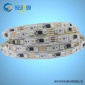 sm16703ic LED幻彩流水跑马灯带 5050裸板LED灯带 低压12V