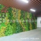 厂家定制 高仿室内外**装饰植物墙米兰草 展厅背景墙店招植物墙
