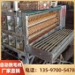 鸡鸭鹅脱毛机 鸭子腊池 家禽烫毛机械大型TL150-5轴 脱毛机厂家